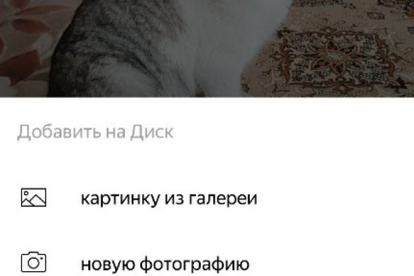 Как найти официальный сайт кракен